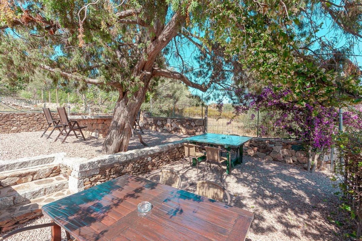 B&B Pettirosso Garden San Teodoro  Eksteriør bilde